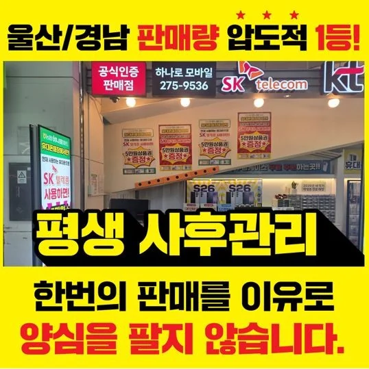 굴화장검점